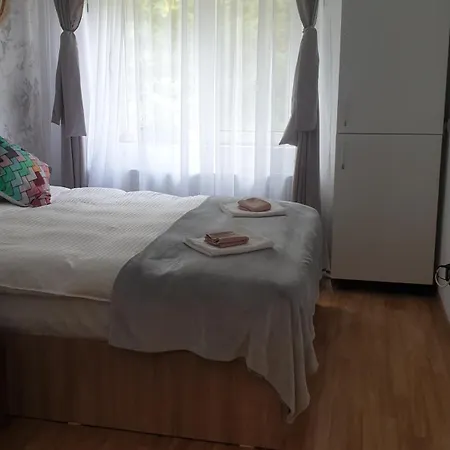 Apartment Garsoniera Ioana *