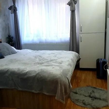 Apartment Garsoniera Ioana