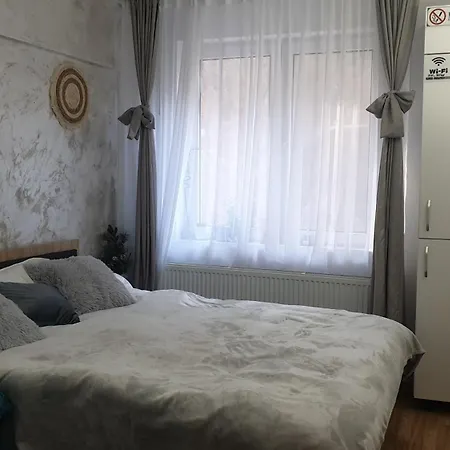 Garsoniera Ioana Apartment